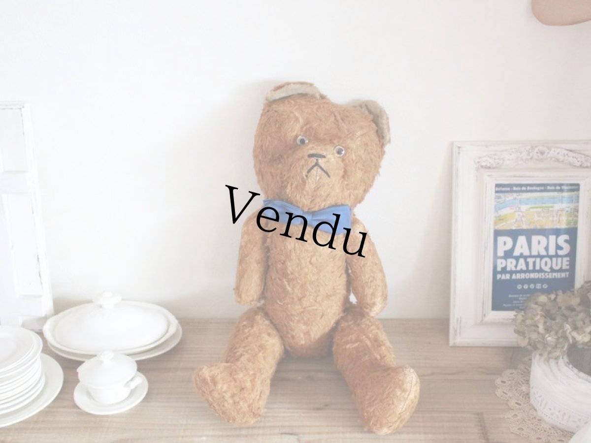 画像1: Antique French Bear / 17in /  France (1)