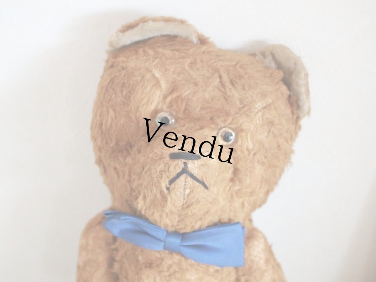 画像2: Antique French Bear / 17in /  France (2)