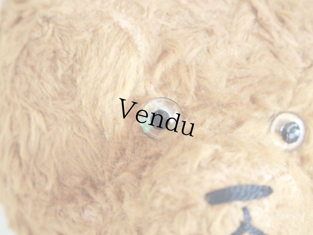 画像4: Antique French Bear / 17in /  France (4)