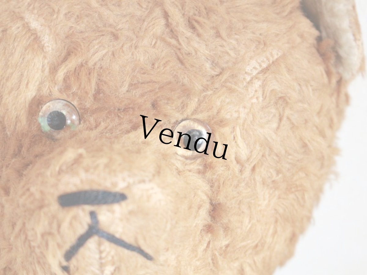 画像3: Antique French Bear / 17in /  France (3)