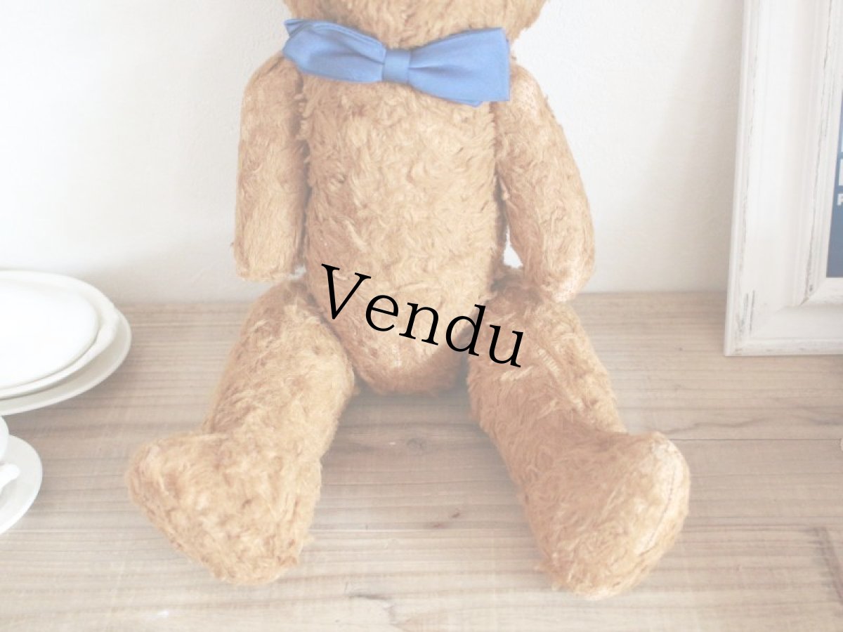画像5: Antique French Bear / 17in /  France (5)