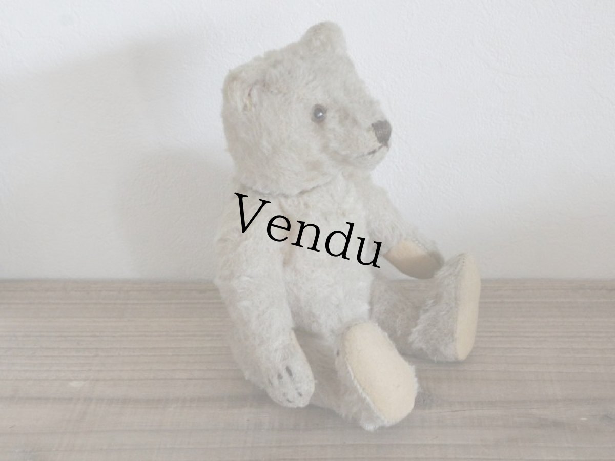 画像7: Antique TeddyBear / 8in /  Germany (7)