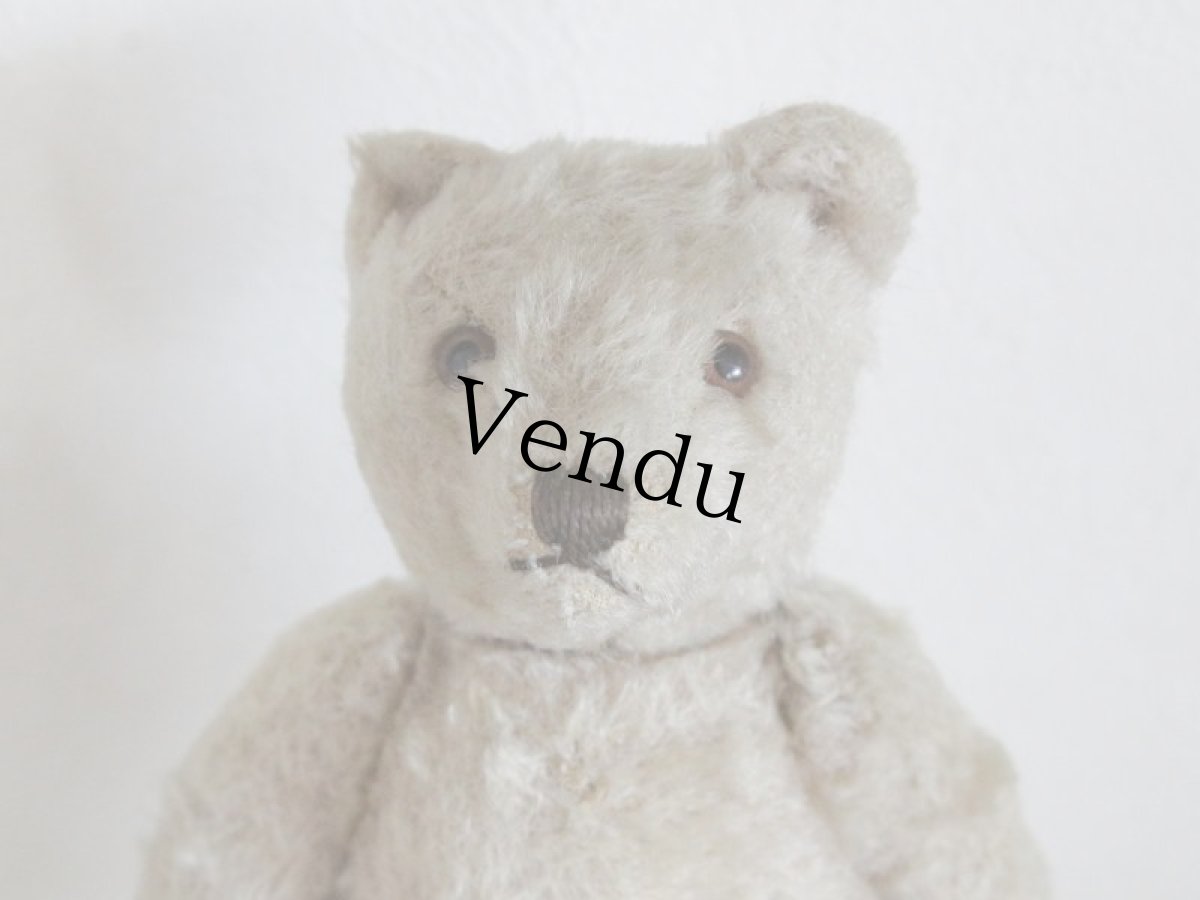 画像2: Antique TeddyBear / 8in /  Germany (2)