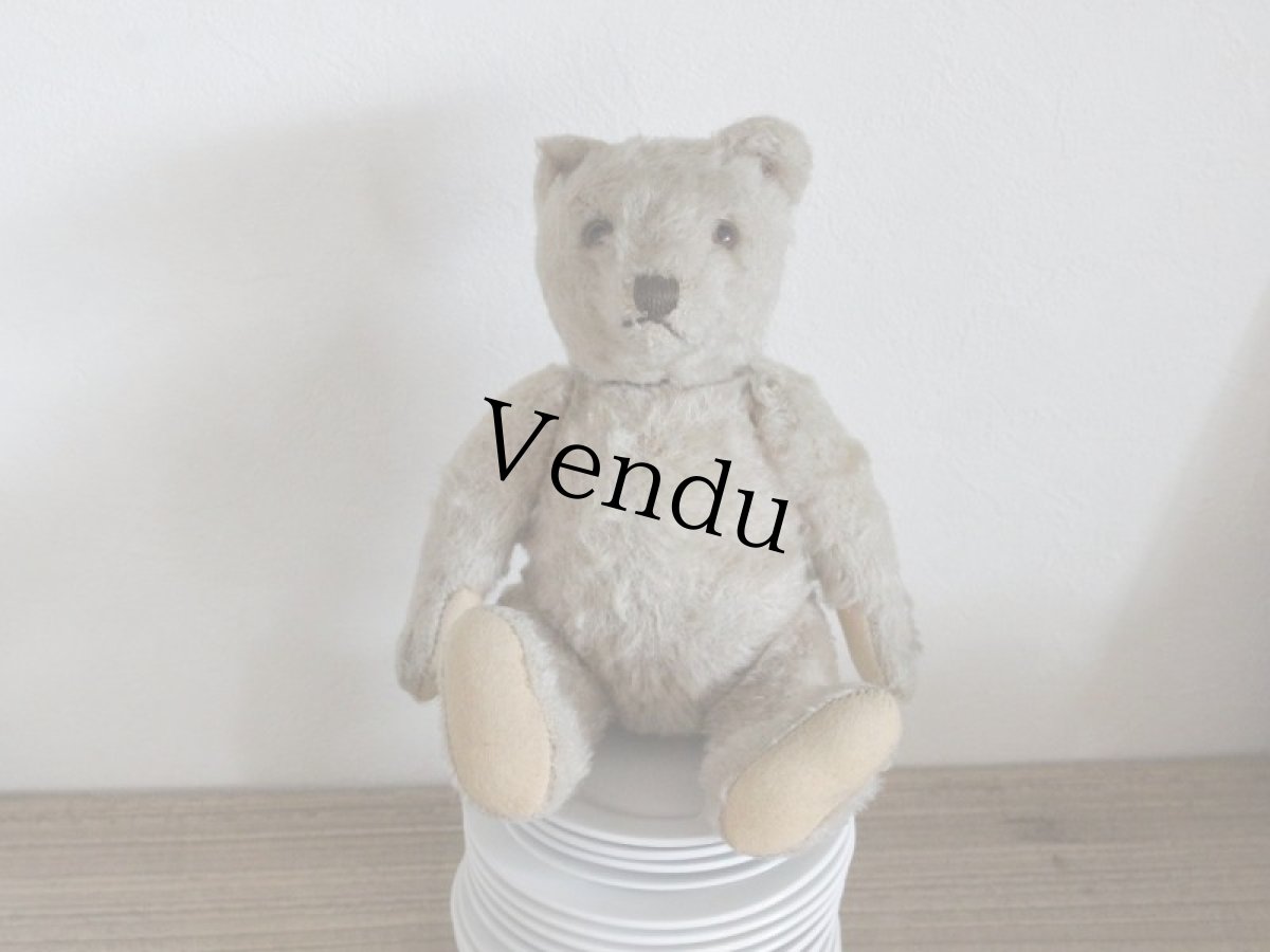 画像1: Antique TeddyBear / 8in /  Germany (1)