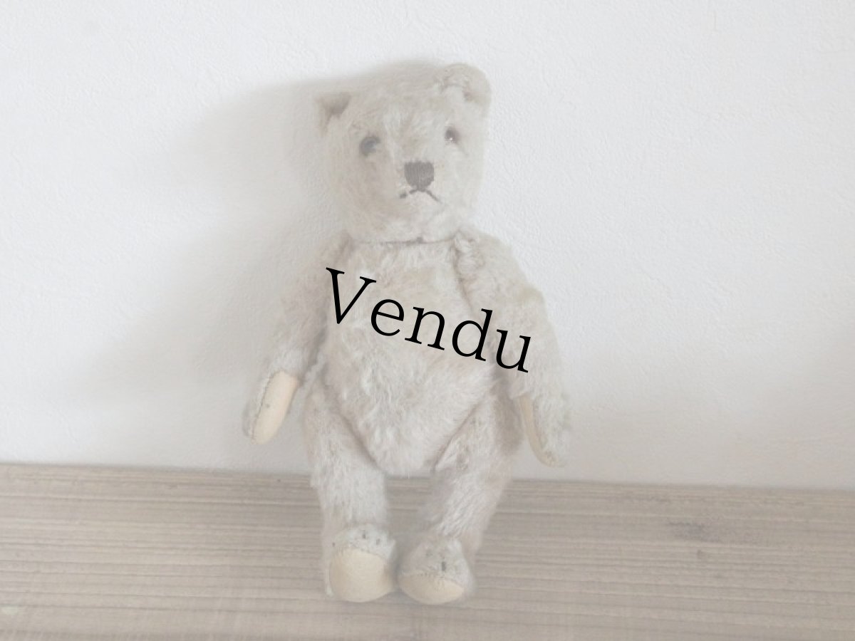 画像8: Antique TeddyBear / 8in /  Germany (8)