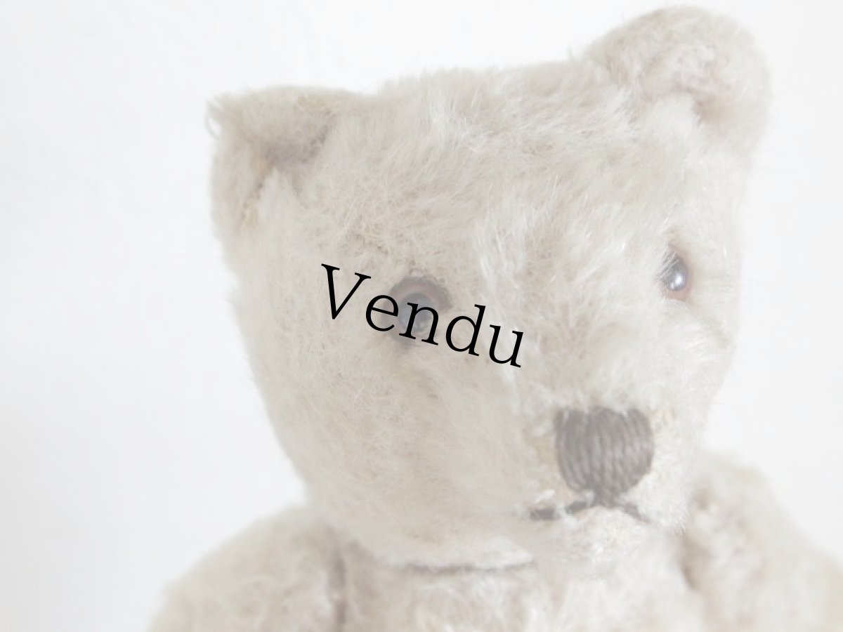 画像4: Antique TeddyBear / 8in /  Germany (4)