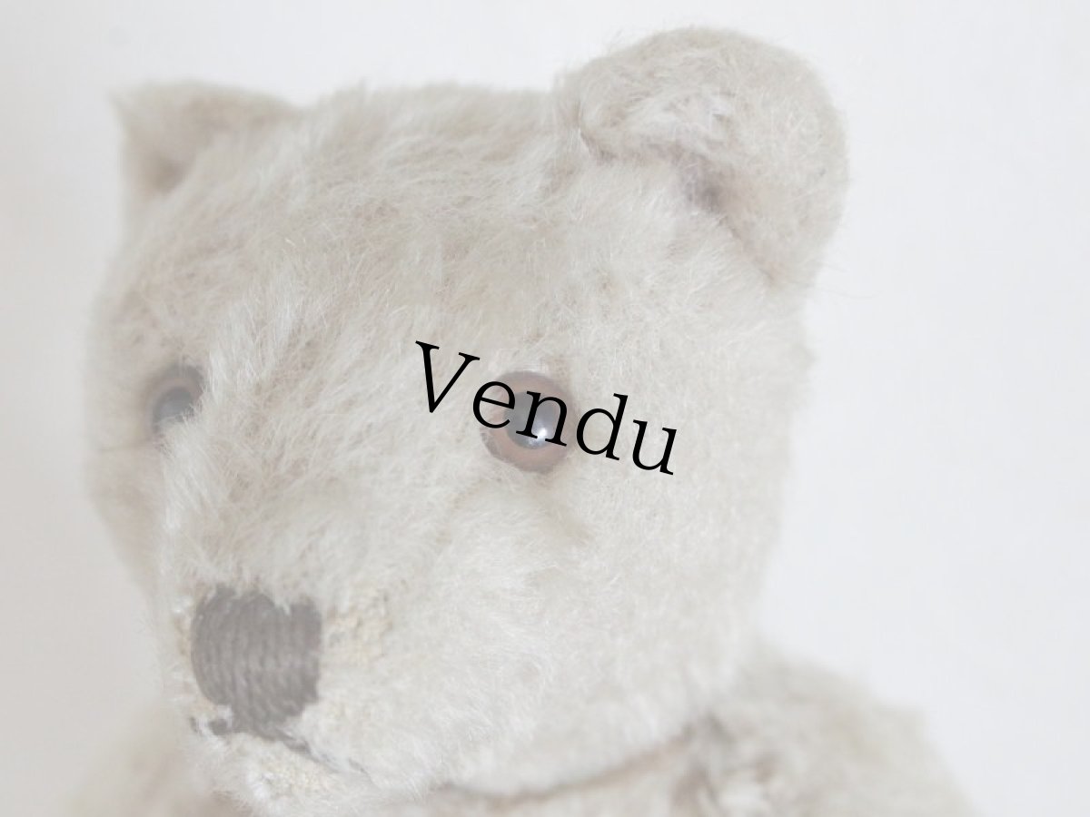 画像3: Antique TeddyBear / 8in /  Germany (3)