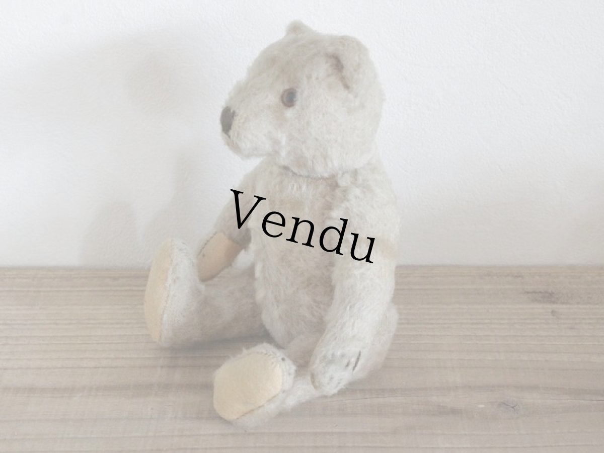画像5: Antique TeddyBear / 8in /  Germany (5)