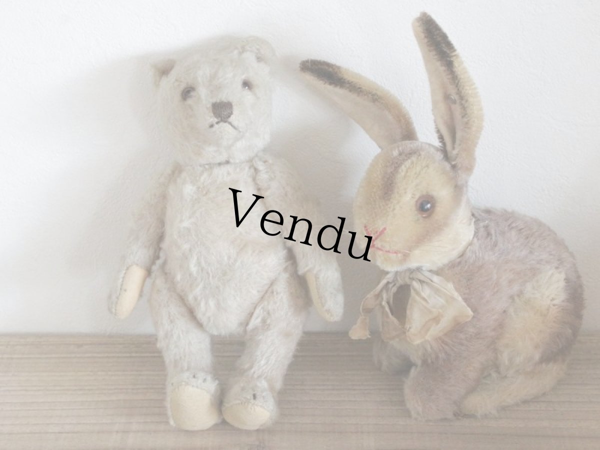 画像9: Antique TeddyBear / 8in /  Germany (9)