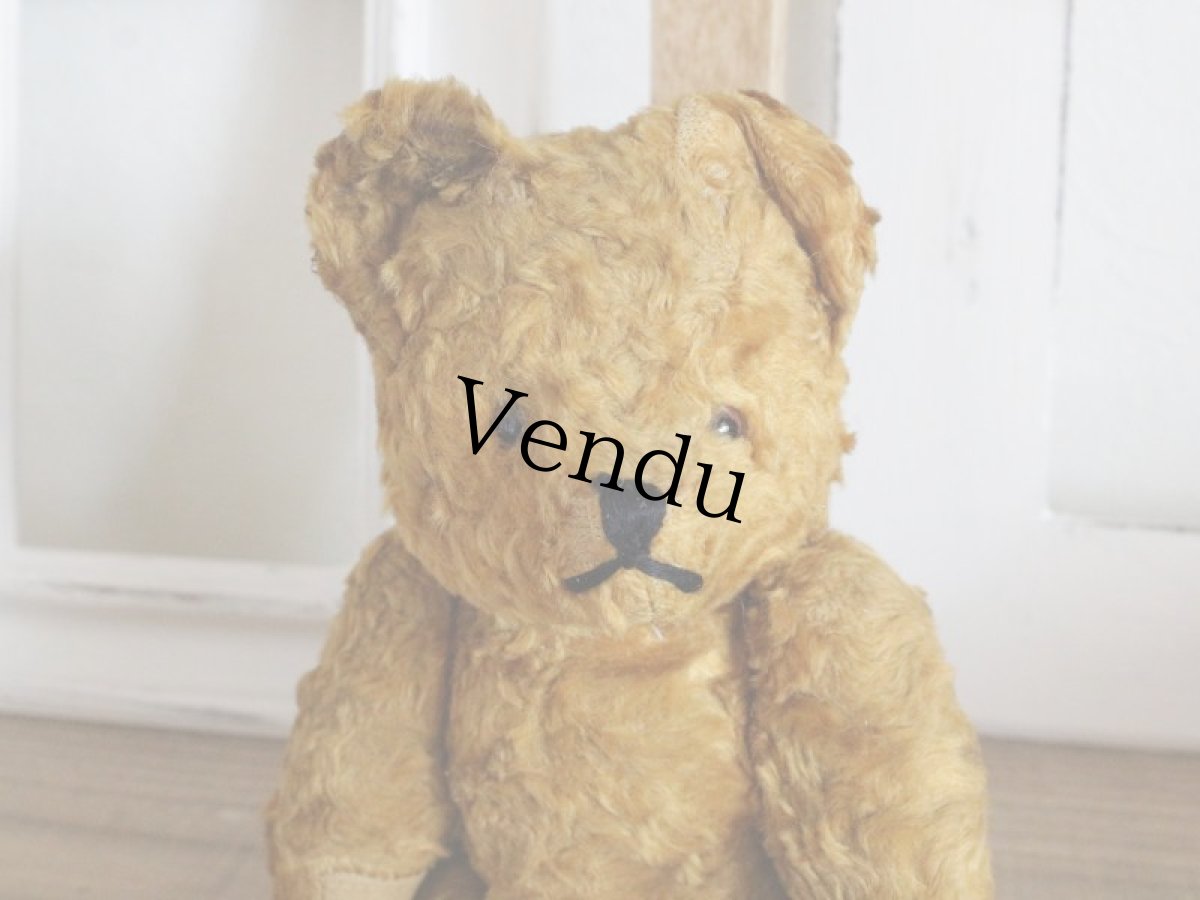 画像5: Antique Bear / 9in (5)