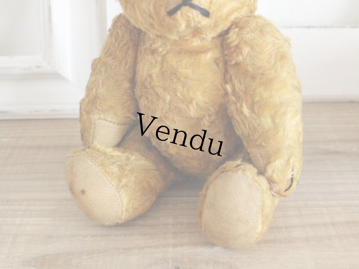 画像8: Antique Bear / 9in (8)