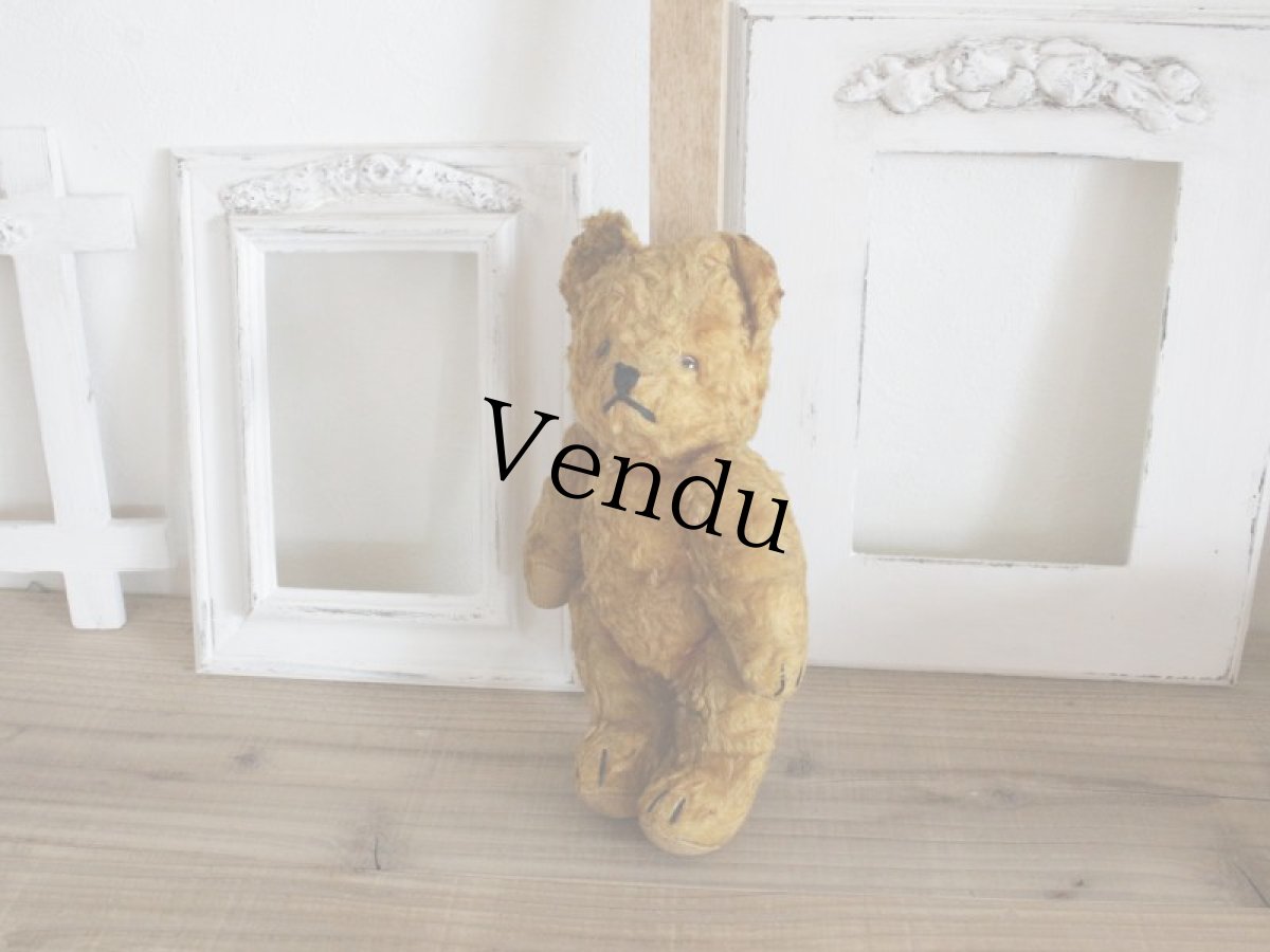 画像9: Antique Bear / 9in (9)