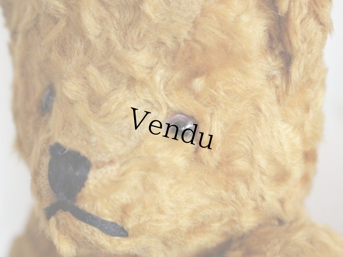 画像6: Antique Bear / 9in (6)