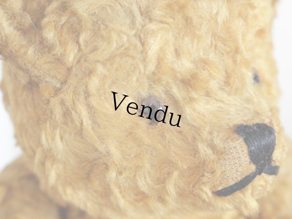 画像7: Antique Bear / 9in (7)