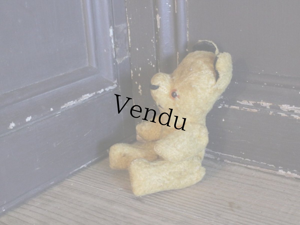 画像7: Sooty!!! Le Jouet Paris Massy /J.P.M. Bear/French (7)