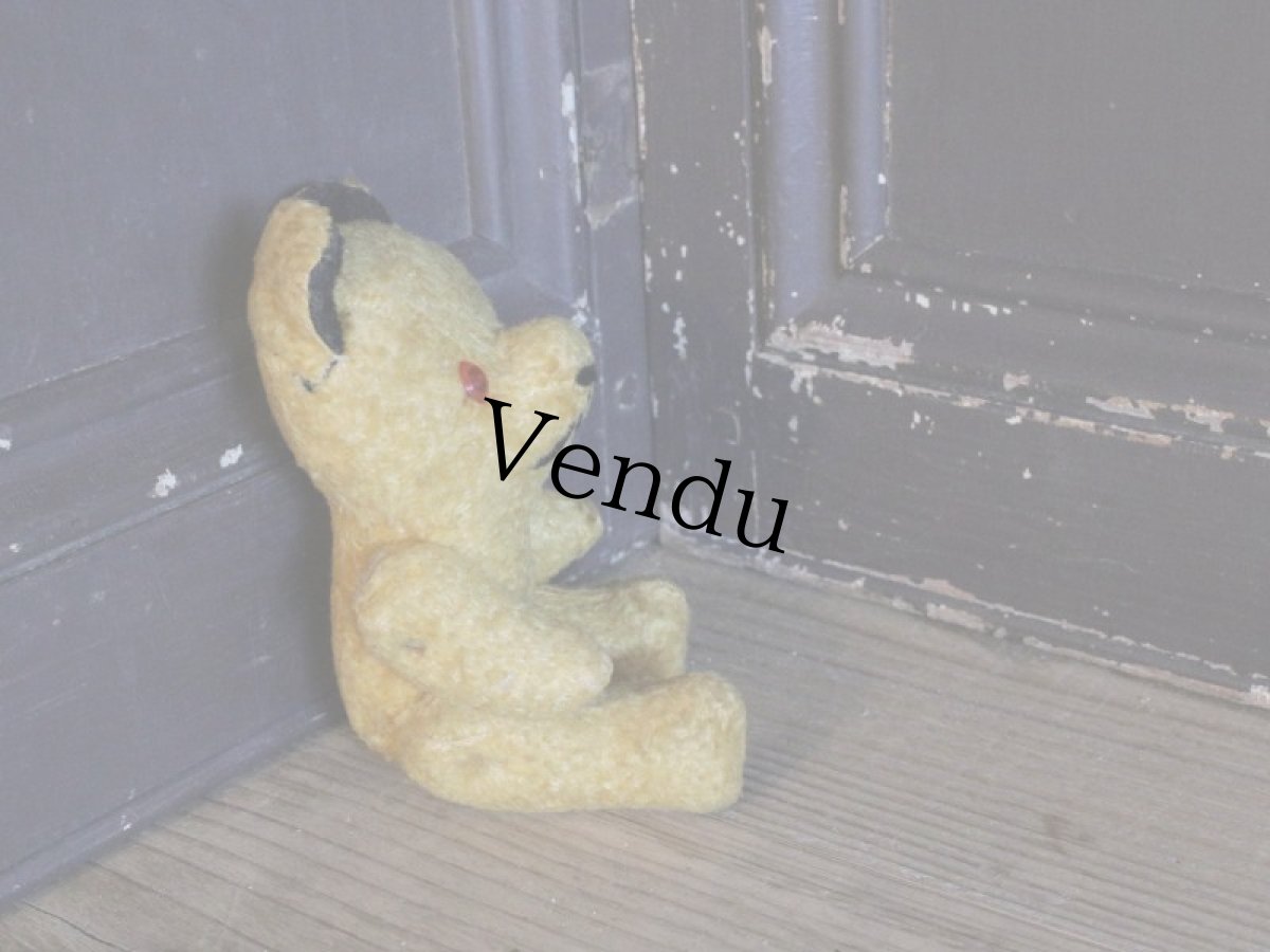 画像6: Sooty!!! Le Jouet Paris Massy /J.P.M. Bear/French (6)