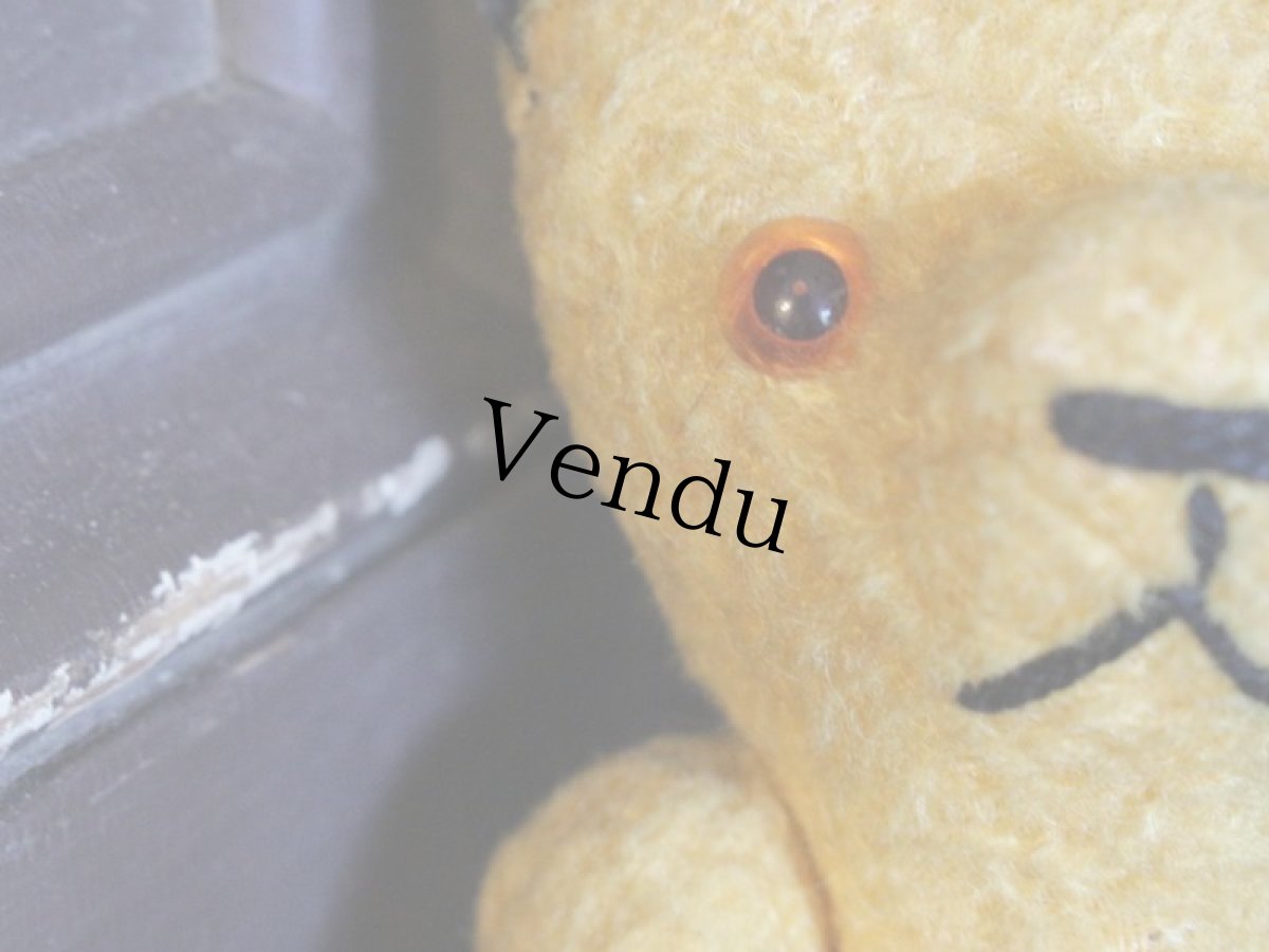 画像4: Sooty!!! Le Jouet Paris Massy /J.P.M. Bear/French (4)