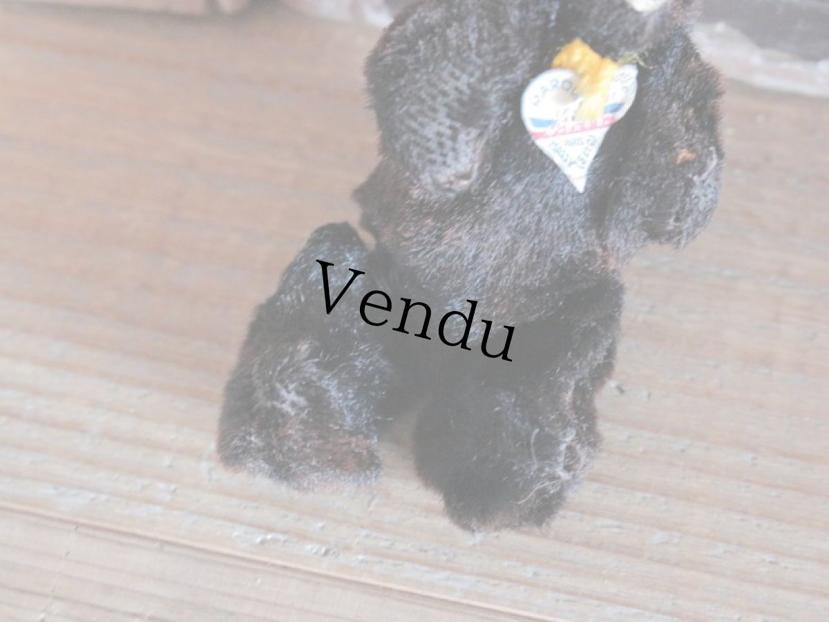 画像7: RARE!!Le Jouet Paris Massy SS /4in /J.P.M. Bear/France (7)