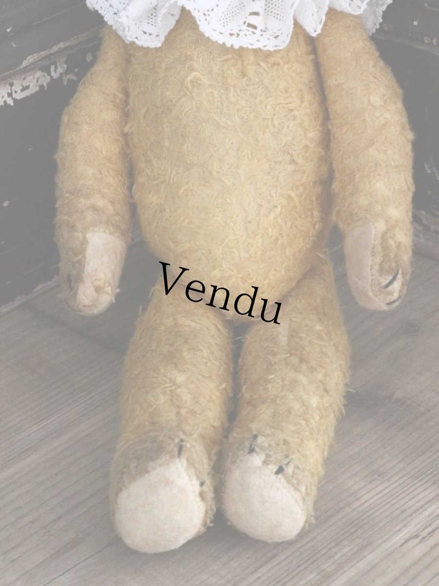 画像9: Antique Bear /18in / Germany (9)