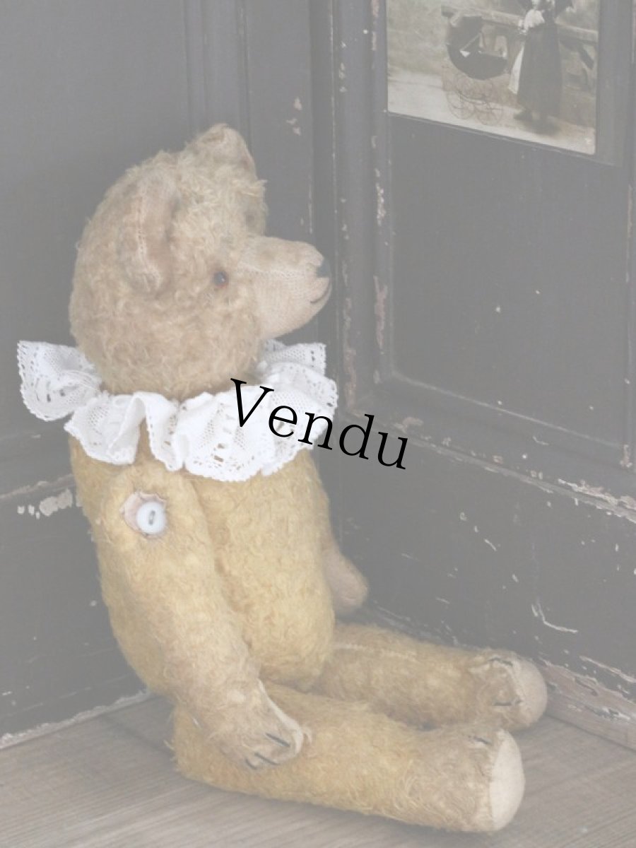 画像11: Antique Bear /18in / Germany (11)