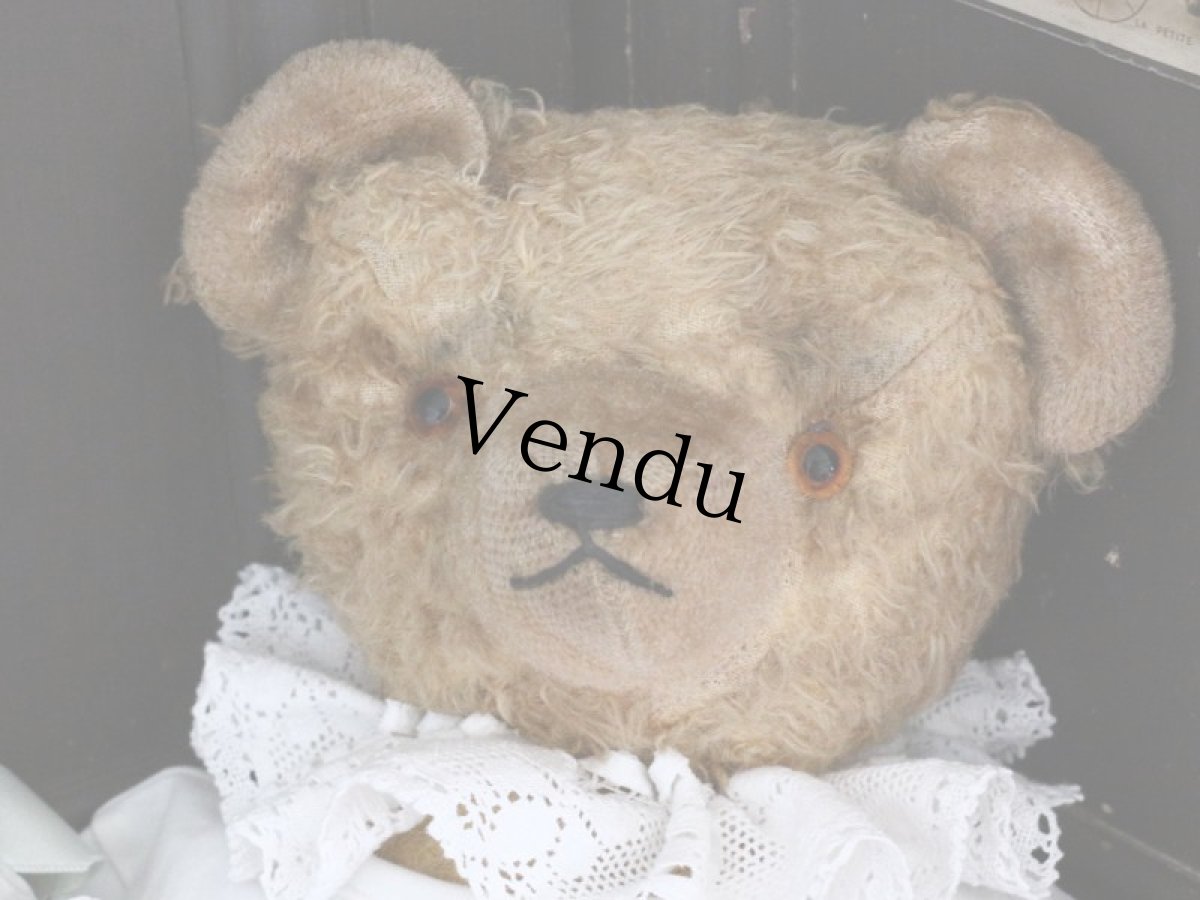 画像3: Antique Bear /18in / Germany (3)