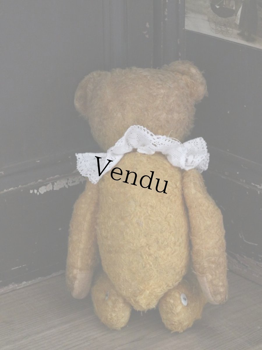 画像12: Antique Bear /18in / Germany (12)