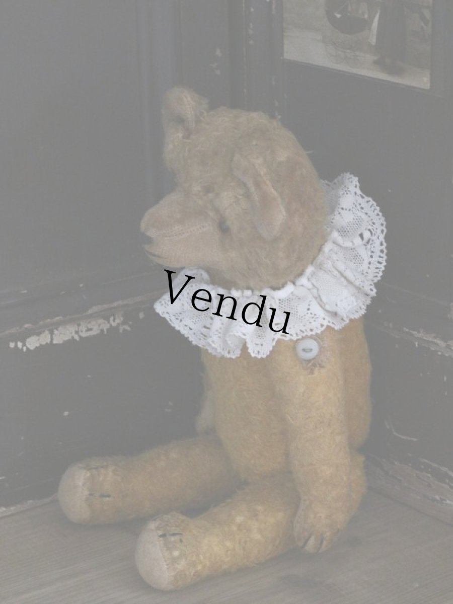 画像10: Antique Bear /18in / Germany (10)