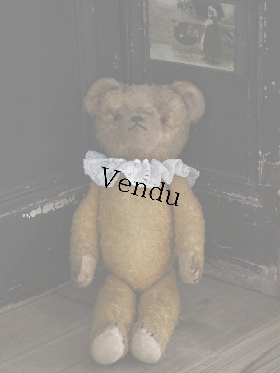 画像6: Antique Bear /18in / Germany (6)