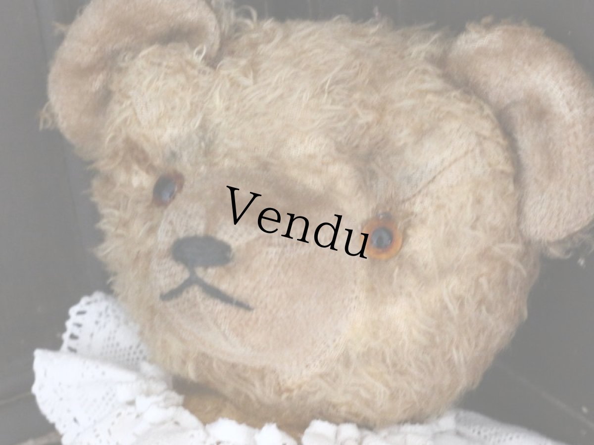 画像7: Antique Bear /18in / Germany (7)