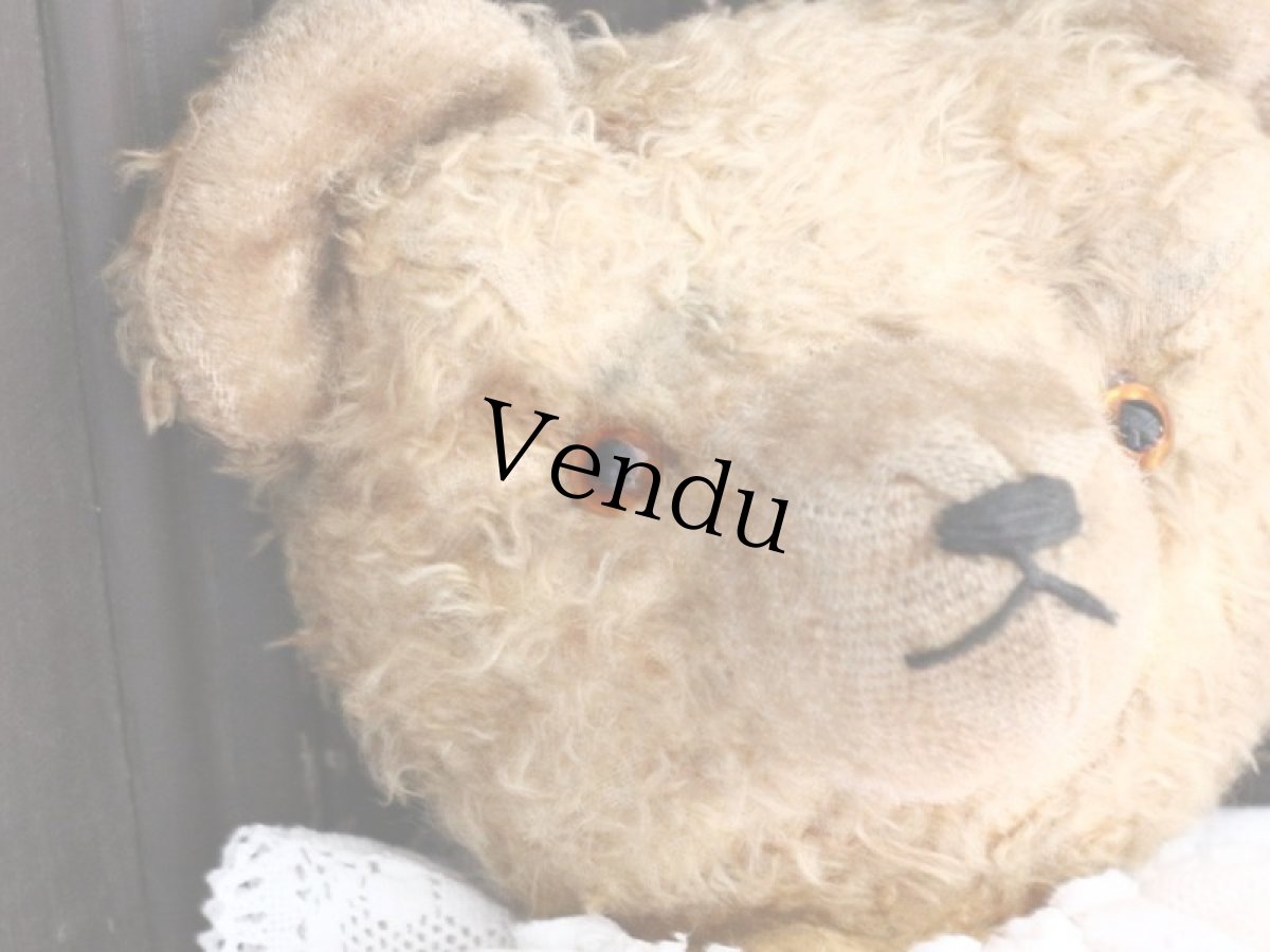 画像8: Antique Bear /18in / Germany (8)