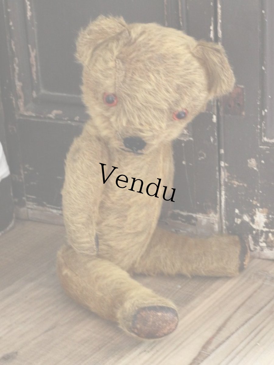 画像9: Antique Dress Bear /16 1/2in / British (9)