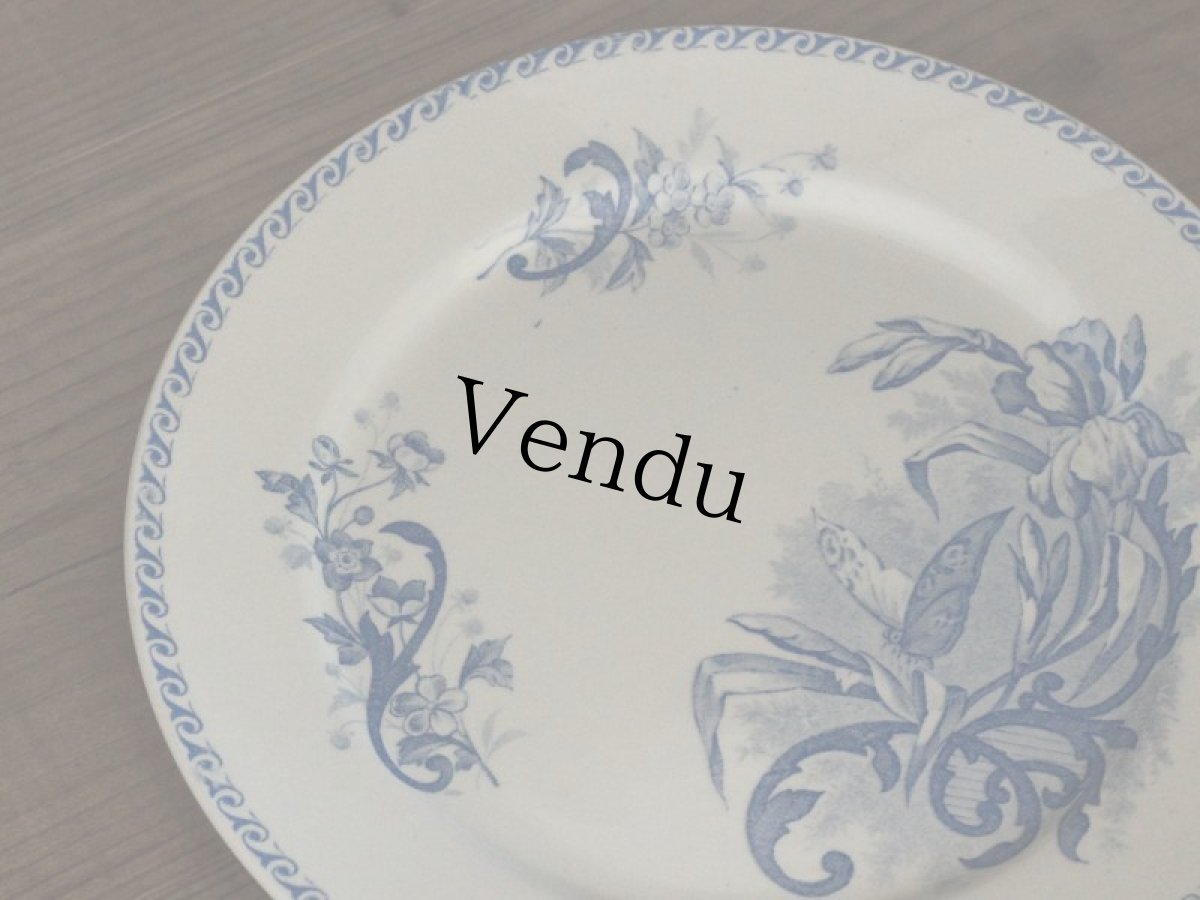 画像3: Creil Et Montereau Papillons /プレート 23cm/France/クレイユ エ モントロー (3)