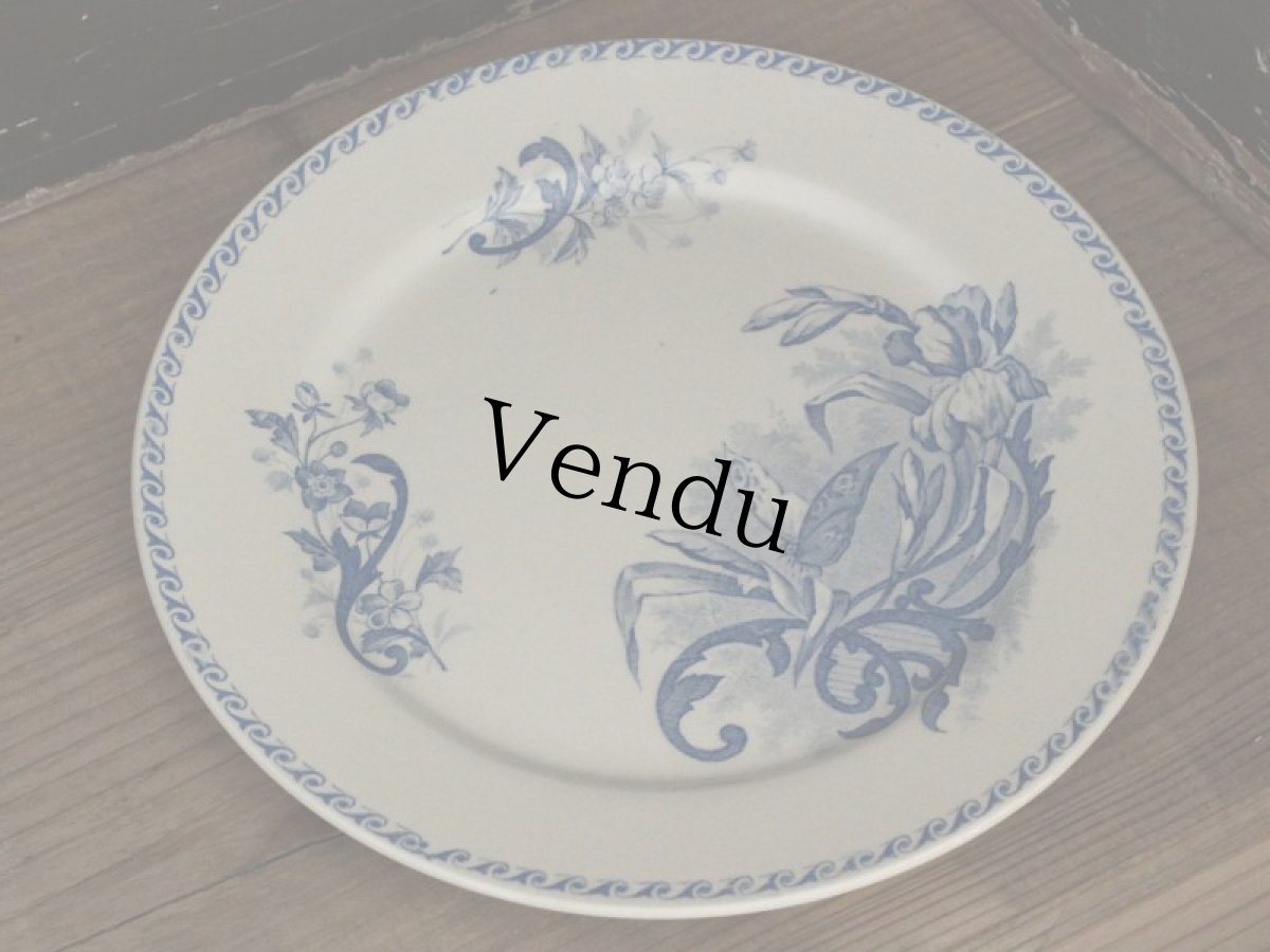 画像1: Creil Et Montereau Papillons /プレート 23cm/France/クレイユ エ モントロー (1)