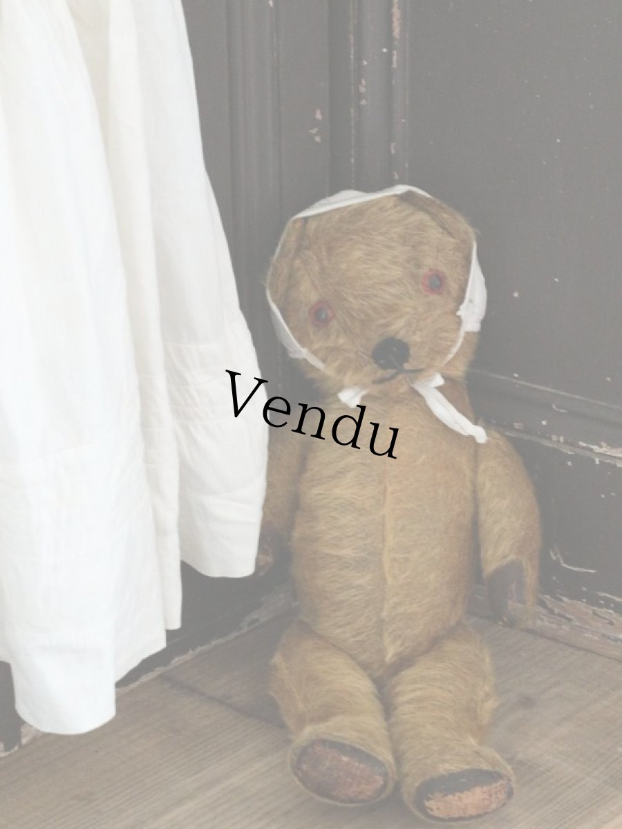 画像10: Antique Dress Bear /16 1/2in / British (10)