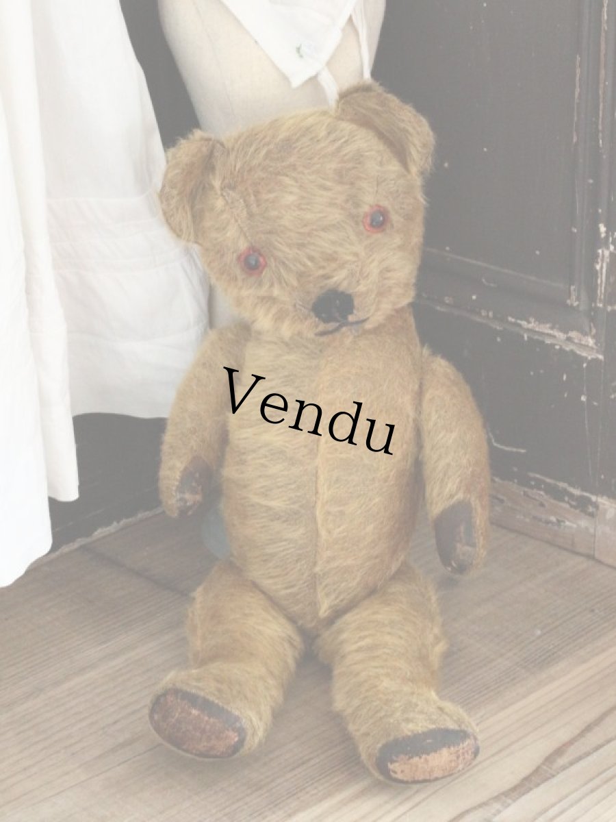 画像6: Antique Dress Bear /16 1/2in / British (6)