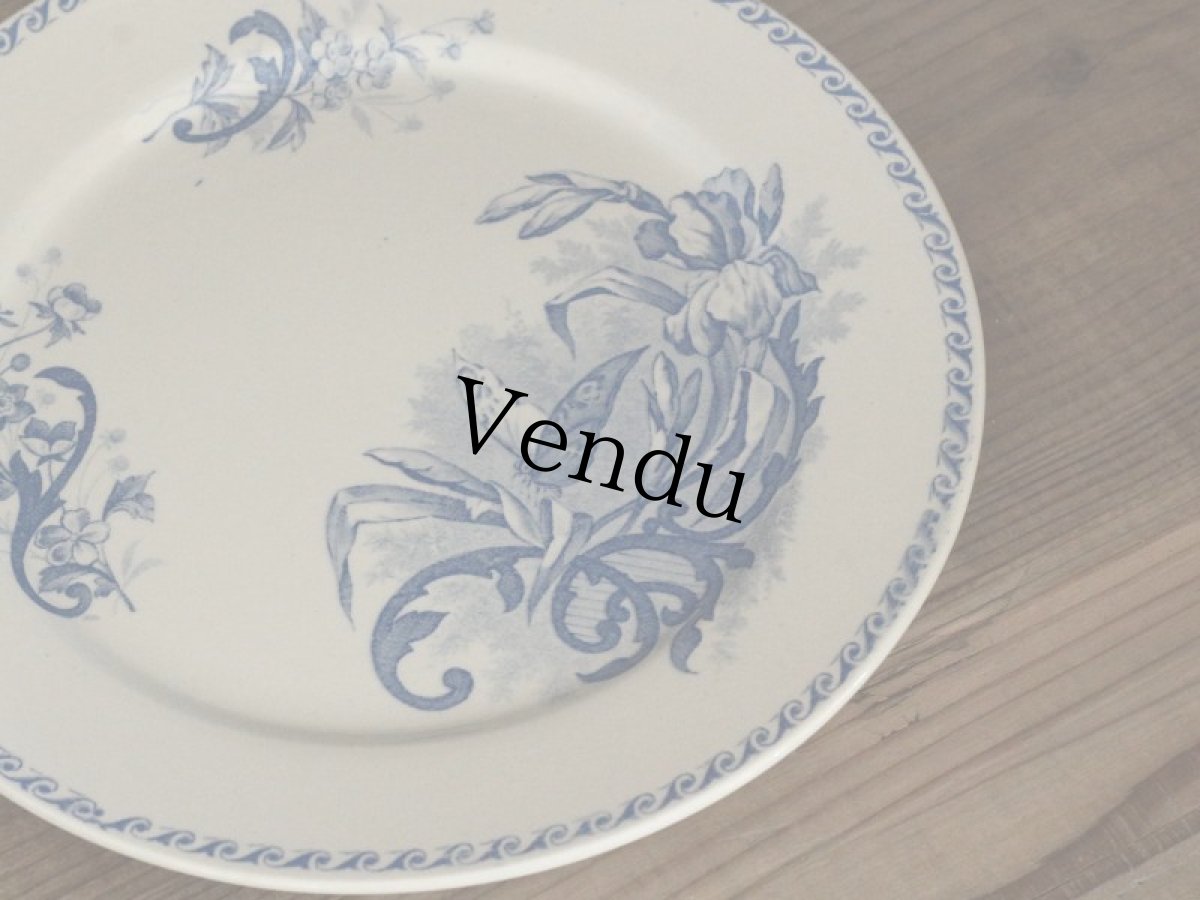 画像2: Creil Et Montereau Papillons /プレート 23cm/France/クレイユ エ モントロー (2)