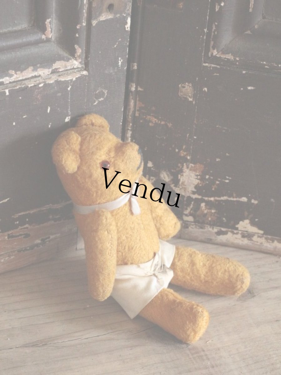 画像6: Antique Bear / 6 2/4in /France (6)