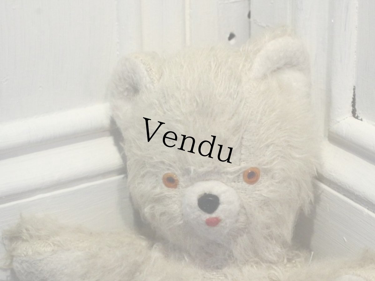 画像2: Antique White Bear / 8in /France (2)