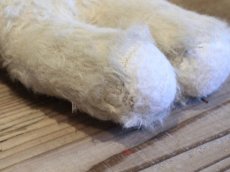 画像7: Antique White Bear / 8in /France (7)