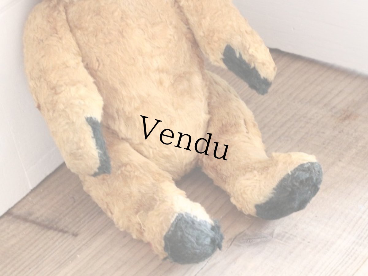 画像6: Antique Sooty Bear / 12in / Germany (6)