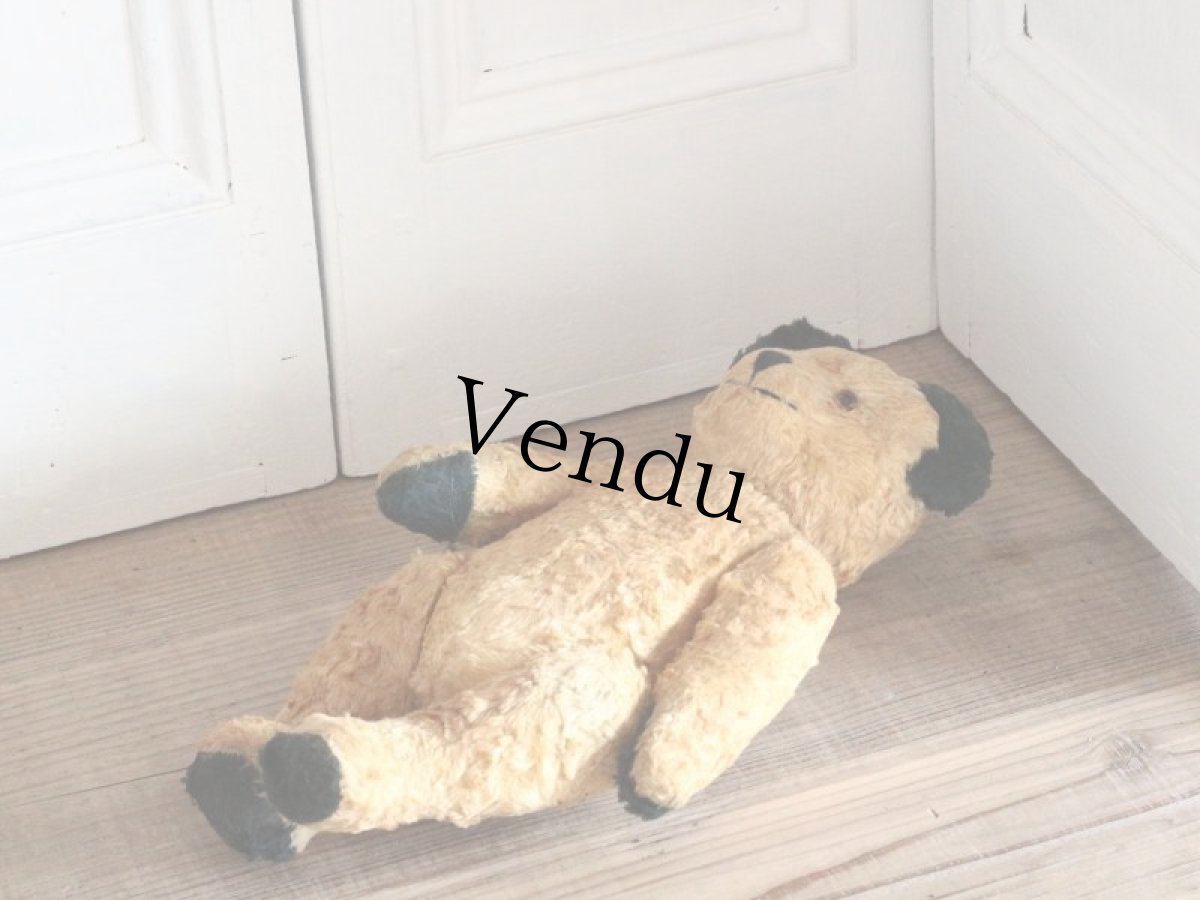 画像12: Antique Sooty Bear / 12in / Germany (12)