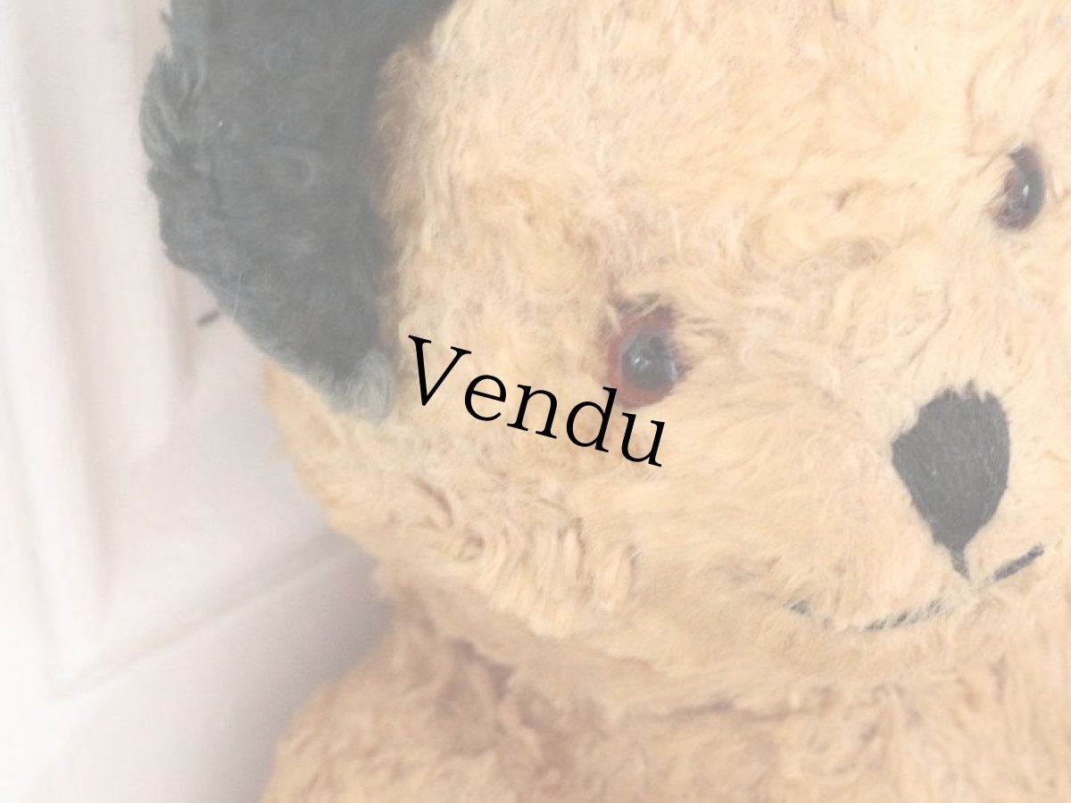 画像4: Antique Sooty Bear / 12in / Germany (4)