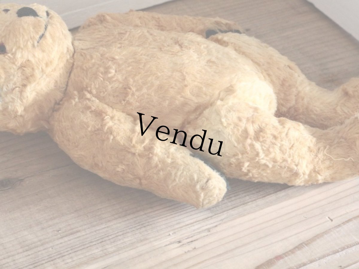 画像11: Antique Sooty Bear / 12in / Germany (11)