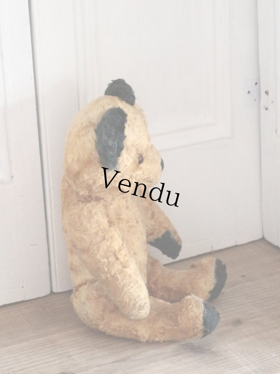 画像7: Antique Sooty Bear / 12in / Germany (7)