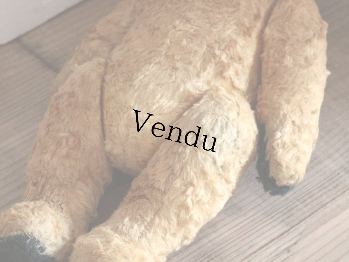 画像10: Antique Sooty Bear / 12in / Germany (10)