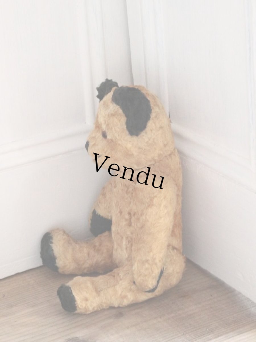 画像8: Antique Sooty Bear / 12in / Germany (8)