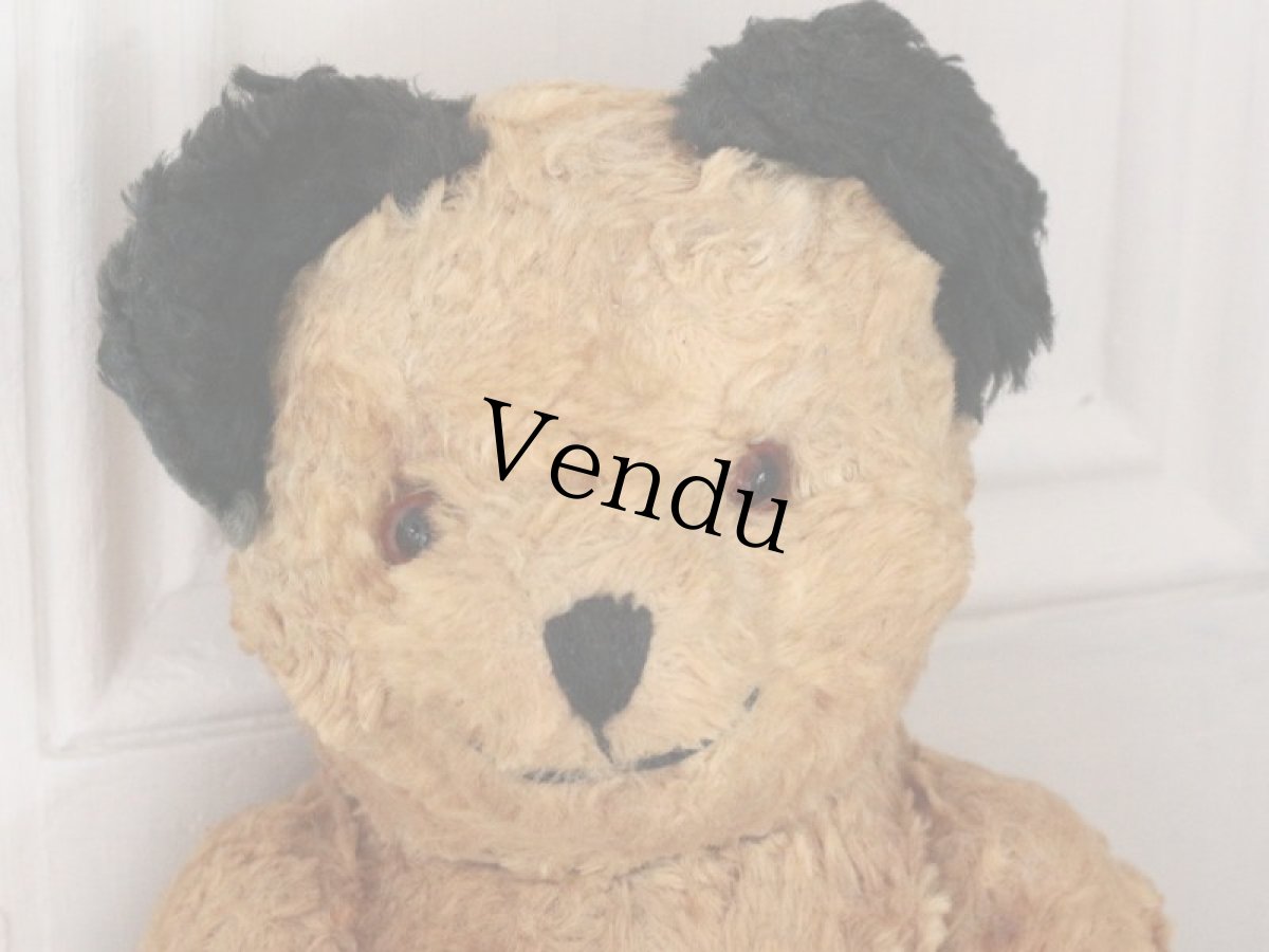 画像2: Antique Sooty Bear / 12in / Germany (2)