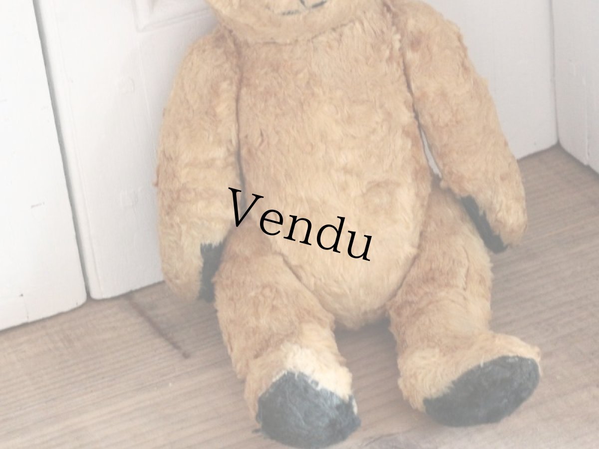 画像5: Antique Sooty Bear / 12in / Germany (5)