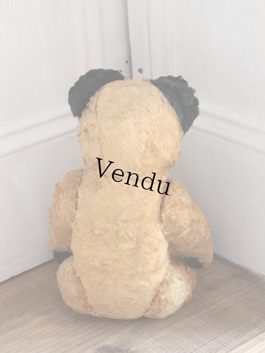 画像9: Antique Sooty Bear / 12in / Germany (9)