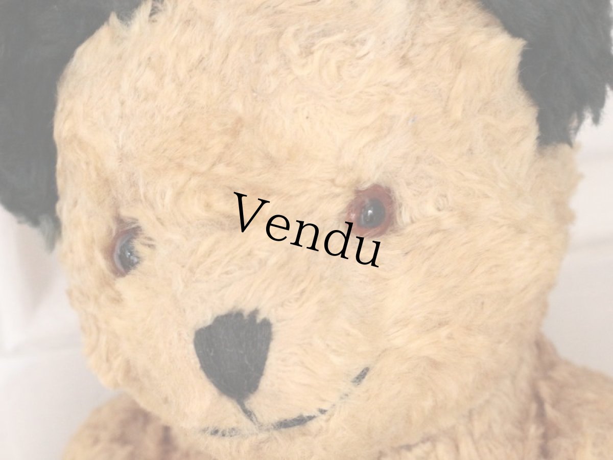 画像3: Antique Sooty Bear / 12in / Germany (3)